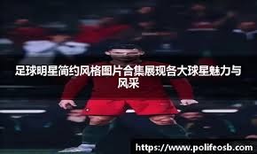 把输讲成成