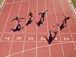 《潜水员戴夫》丛林DLC细节公布