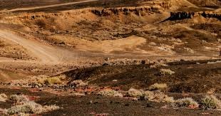 MLB》大谷翔平签下独家合约 日媒揭密超强大谷每天独门菜单